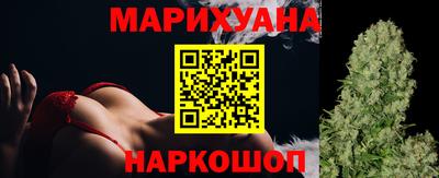 спиды Кингисепп