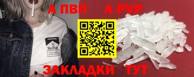 спиды Кингисепп