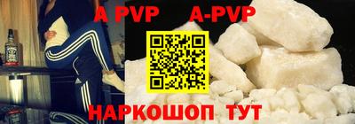 спиды Кингисепп