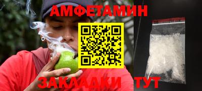 спиды Кингисепп