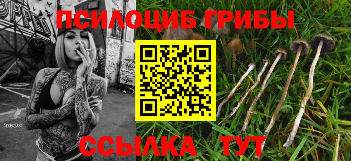 Югорск  Галлюциногенные грибы Psilocybine cubensis  магазин  наркотиков  Вход с VPN 
